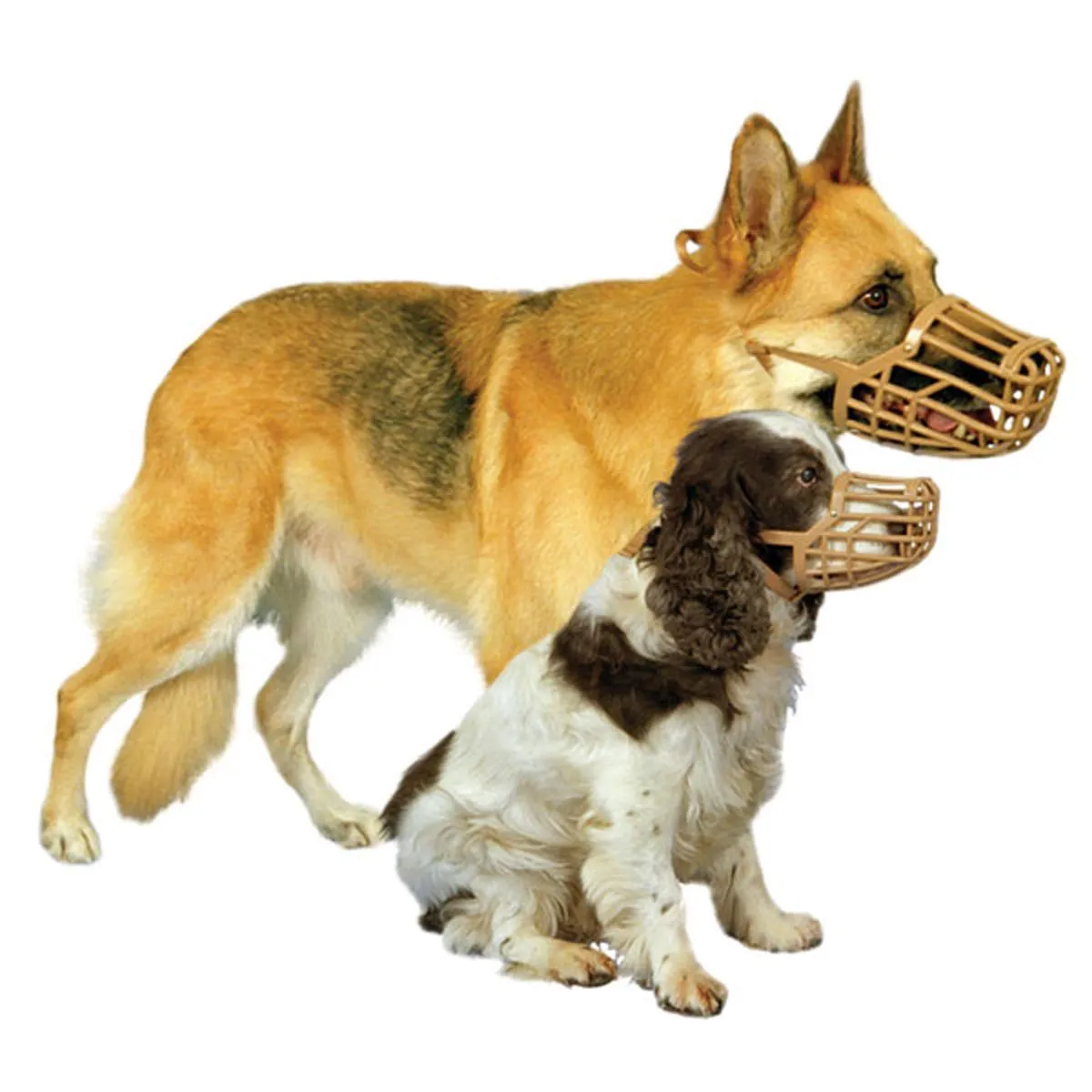 Baskerville | Dog Behaviour | Deluxe Muzzle (Changing to Classic Muzzle)