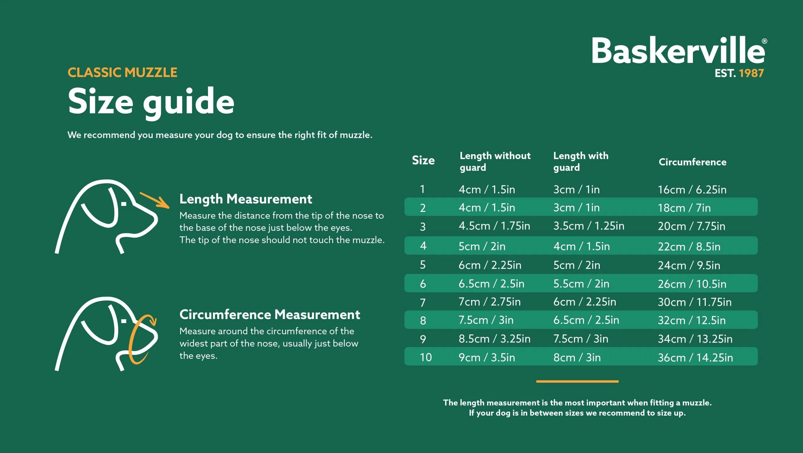 Baskerville | Dog Behaviour | Deluxe Muzzle (Changing to Classic Muzzle)