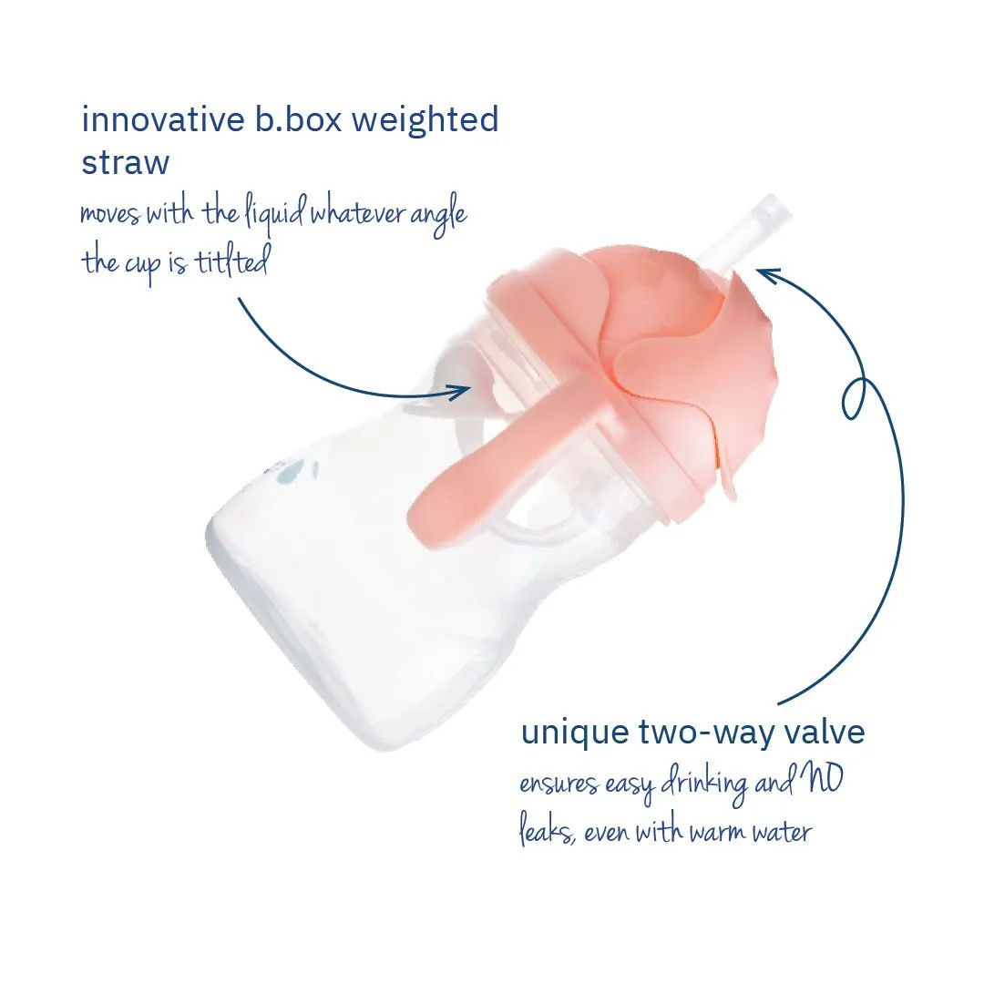 B.Box Weighted Straw Sippy Cup- Tutti Fruiti Light Pink