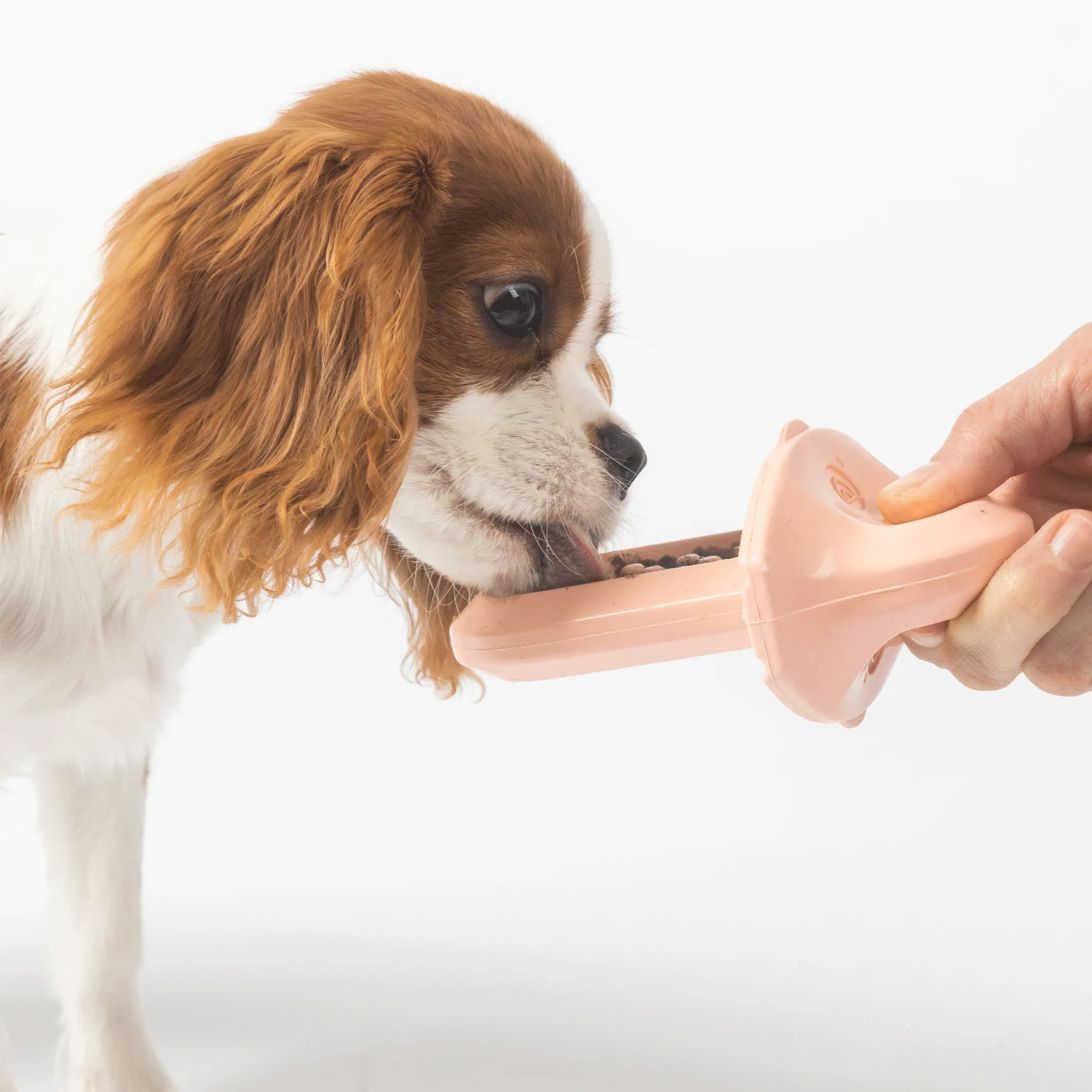 Diggs Groov Crate Training Aid - Blush