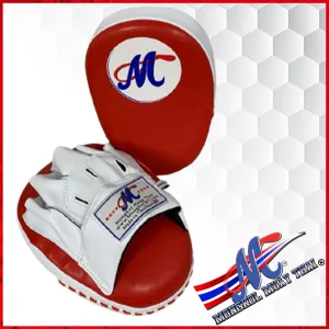 Mongkol Focus mitts