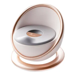 R for Rabbit Little Regal Potty Training- Golden
