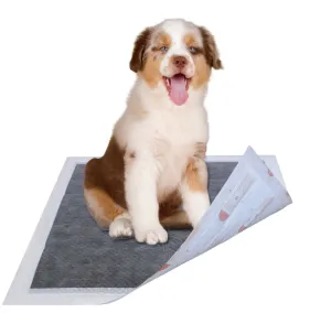 Ultra Absorbent Odor Eliminating Training Pads for Dogs